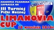 Powiększ
