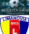Powiększ