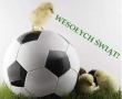 Powiększ